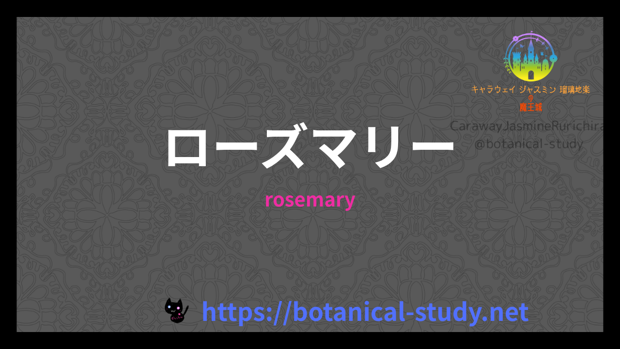 ローズマリーの香りの性質辞典のアイキャッチ