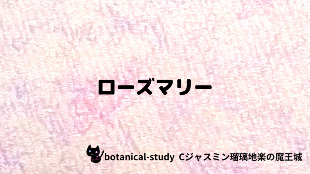 ローズマリーのプチ辞典クイズのアイキャッチ
