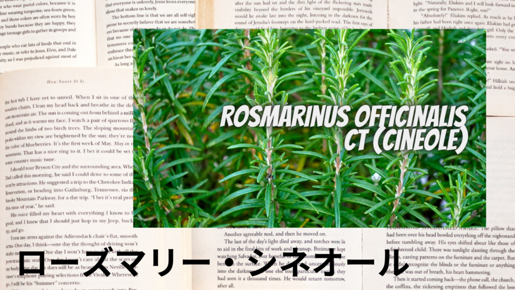 ローズマリー・シネオールの植物素材辞典のアイキャッチ