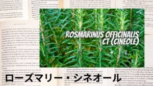 ローズマリー・シネオールの植物素材辞典のアイキャッチ