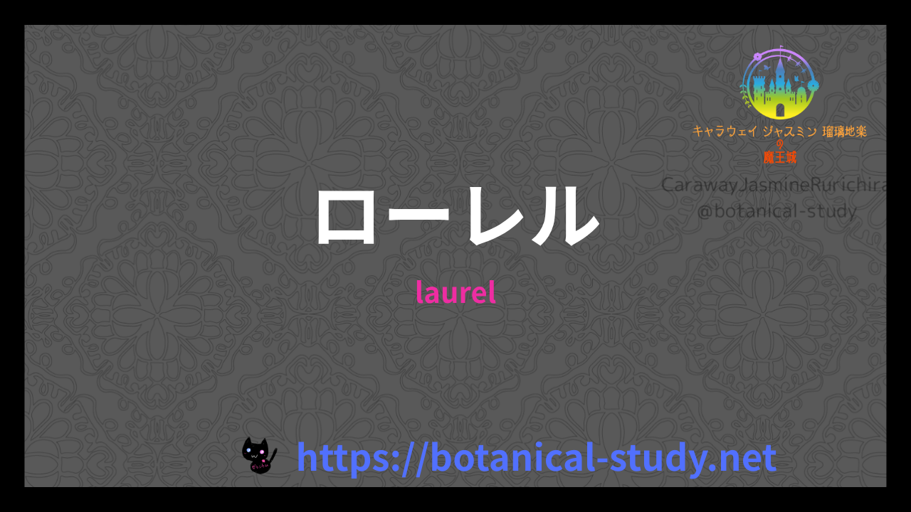 ローレルの香りの性質辞典のアイキャッチ