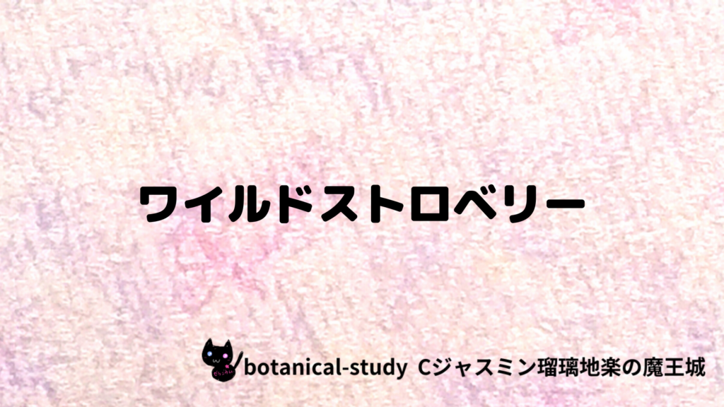 ワイルドストロベリーのプチ辞典クイズのアイキャッチ