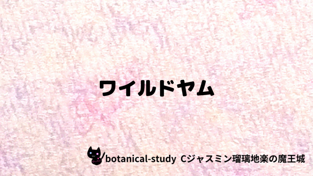 ワイルドヤムのプチ辞典クイズのアイキャッチ