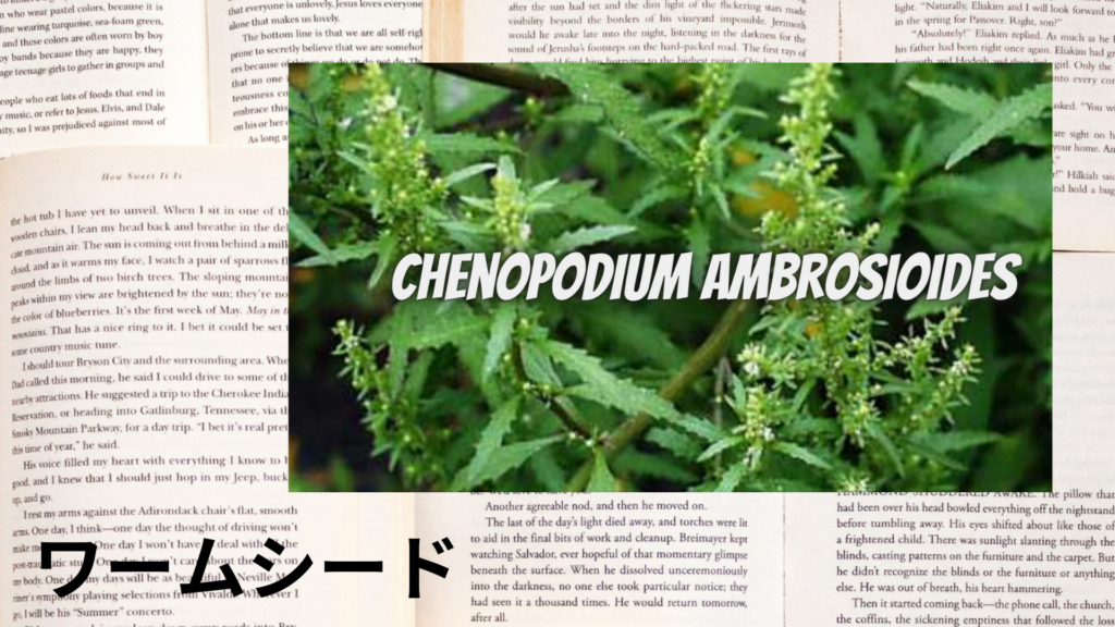 ワームシードの植物素材辞典のアイキャッチ