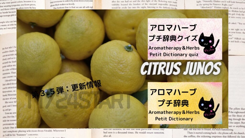ポートフォリオアロマハーブプチ辞典クイズ更新情報のアイキャッチ