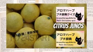 ポートフォリオアロマハーブプチ辞典クイズ更新情報のアイキャッチ
