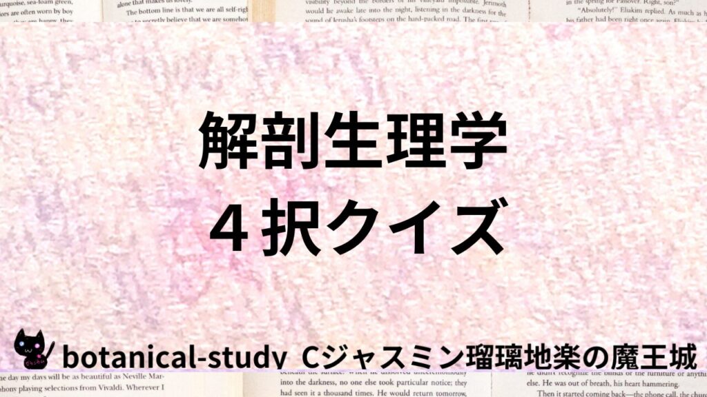 ポートフォリオ解剖生理学４択クイズのアイキャッチ