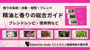 ポートフォリオ香りの総合ページ目次のアイキャッチ