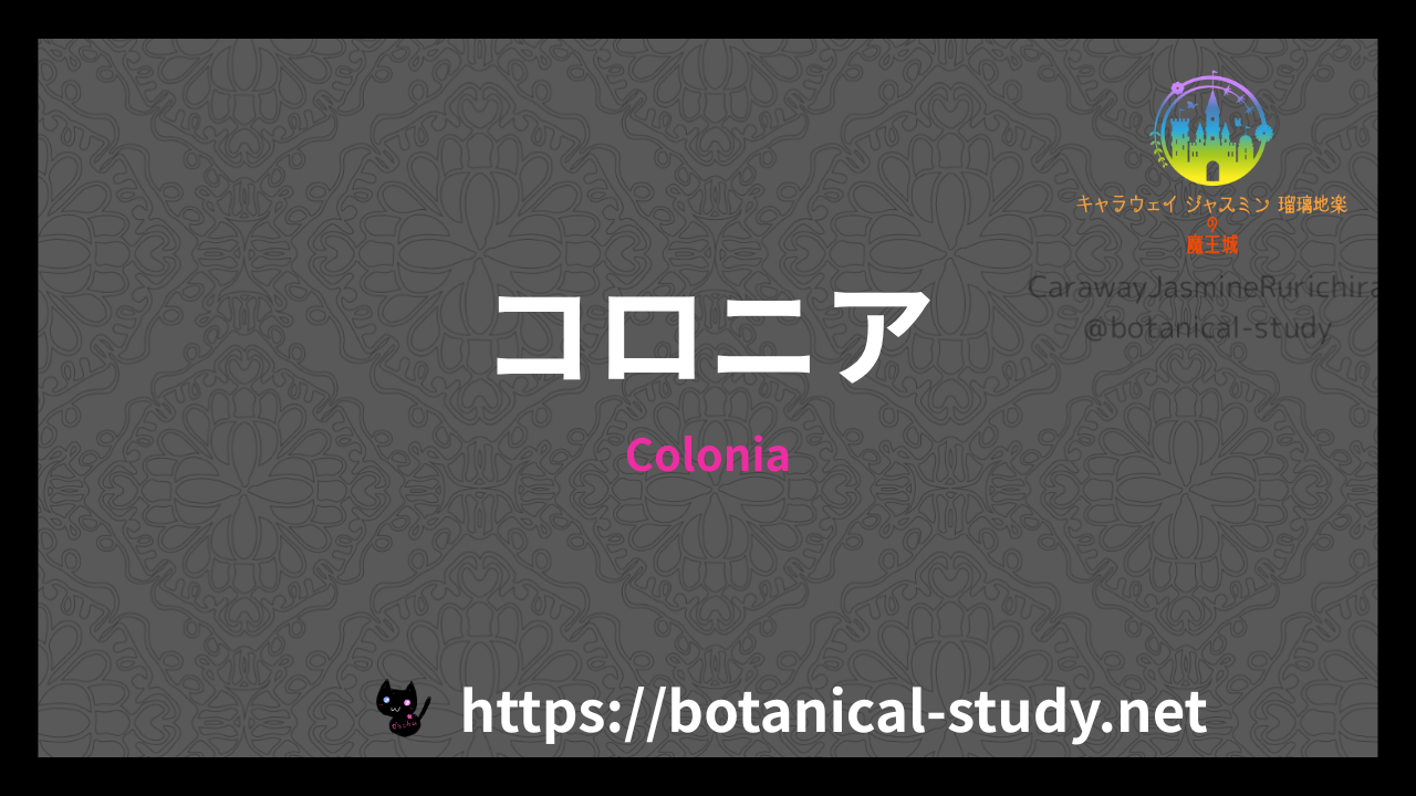 Coloniaの香水辞典のアイキャッチ