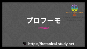 Profumoの香水辞典のアイキャッチ