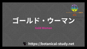 Gold Womanの香水辞典のアイキャッチ
