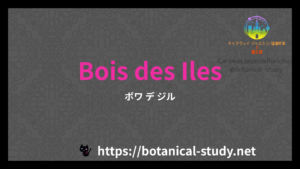 英語版Bois des Ilesの香水辞典のアイキャッチ