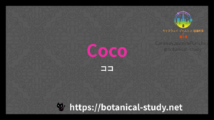 英語版Cocoの香水辞典のアイキャッチ