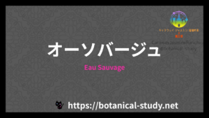 Eau Sauvageの香水辞典のアイキャッチ　