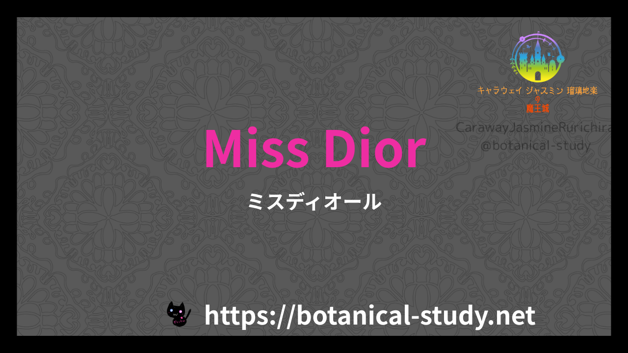 英語版Miss Diorの香水辞典のアイキャッチ