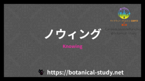 Knowingの香水辞典のアイキャッチ