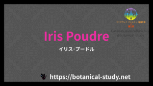 英語版Iris Poudreの香水辞典のアイキャッチ