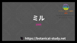 1000の香水辞典のアイキャッチ