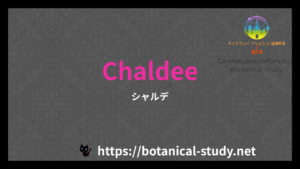 英語版Chaldeeの香水辞典のアイキャッチ