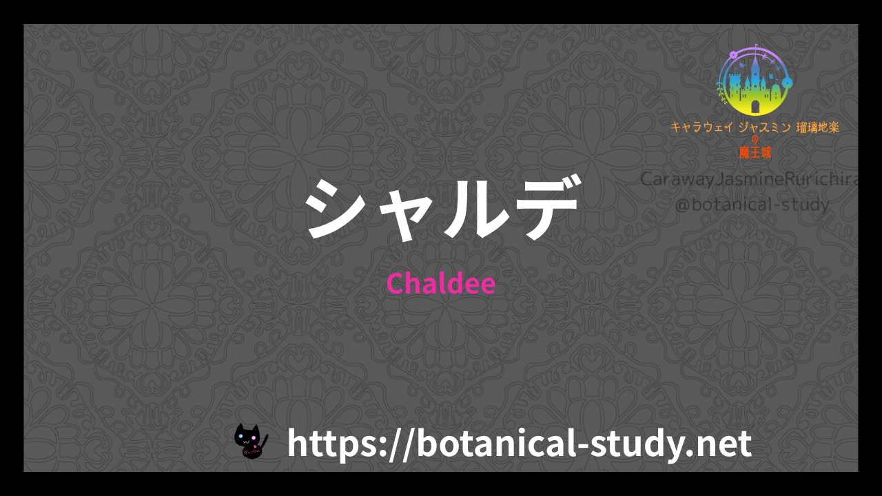Chaldeeの香水辞典のアイキャッチ