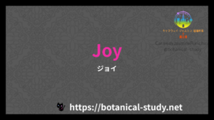 英語版Joyの香水辞典のアイキャッチ
