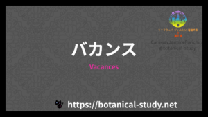 Vacancesの香水辞典のアイキャッチ
