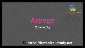 英語版Arpegeの香水辞典のアイキャッチ