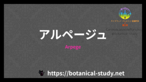 Arpegeの香水辞典のアイキャッチ