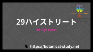 29ハイストリートのamazonのアイキャッチ