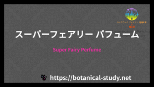 スーパーフェアリーパフュームの香水辞典のアイキャッチ