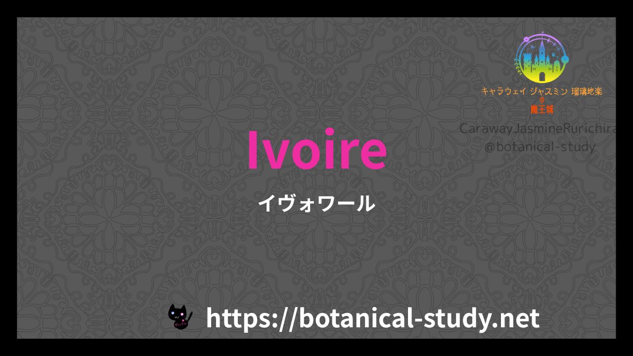 英語版Ivoireの香水辞典のアイキャッチ