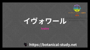 Ivoireの香水辞典のアイキャッチ