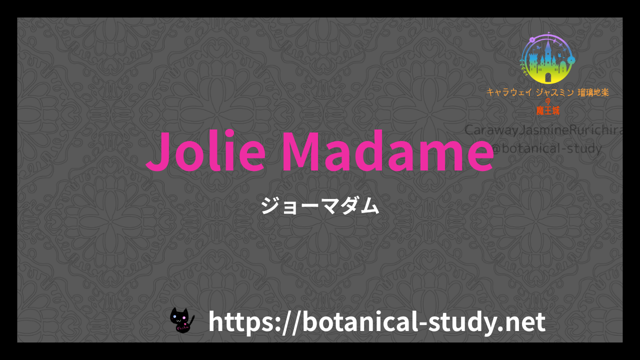 英語版Jolie Madameの香水辞典のアイキャッチ