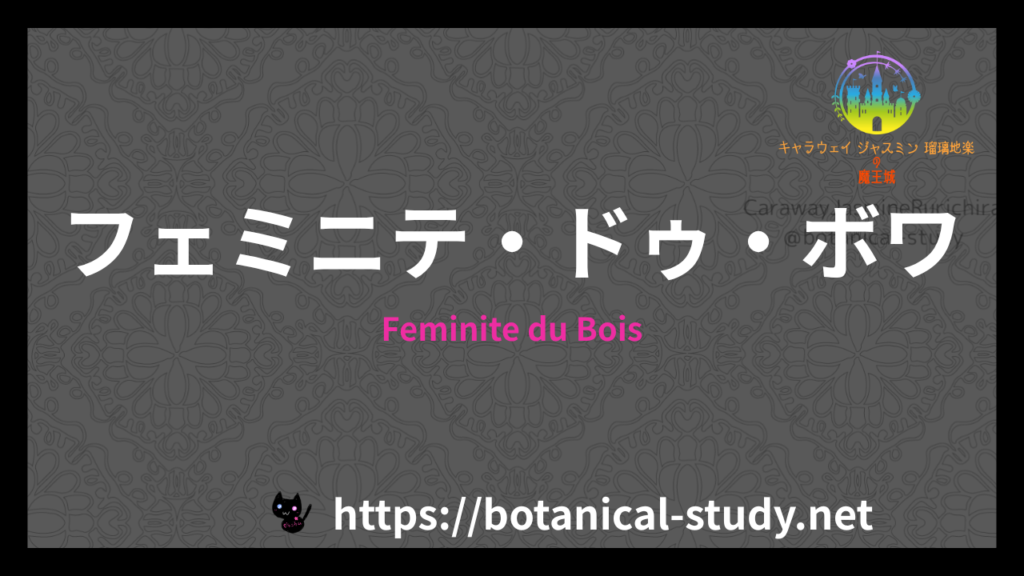 Feminite du Boisの香水辞典のアイキャッチ