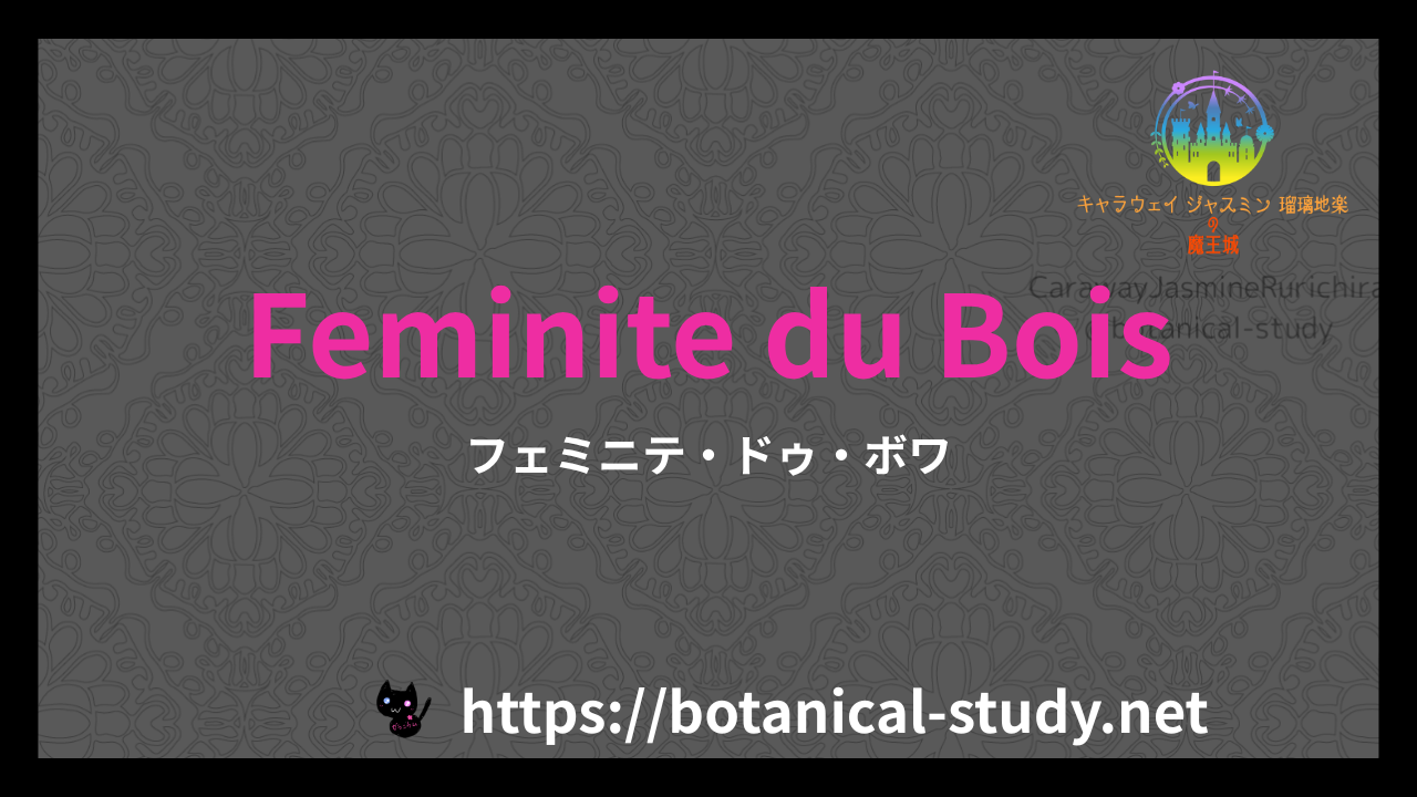 英語版Feminite du Boisの香水辞典のアイキャッチ