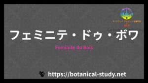 Feminite du Boisの香水辞典のアイキャッチ
