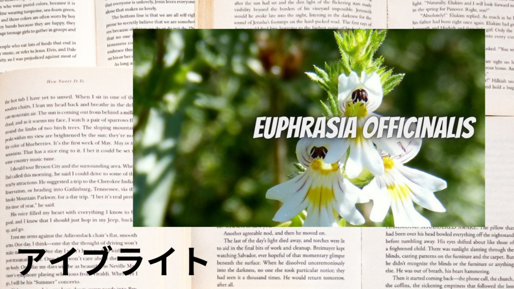 アイブライトの植物素材辞典のアイキャッチ