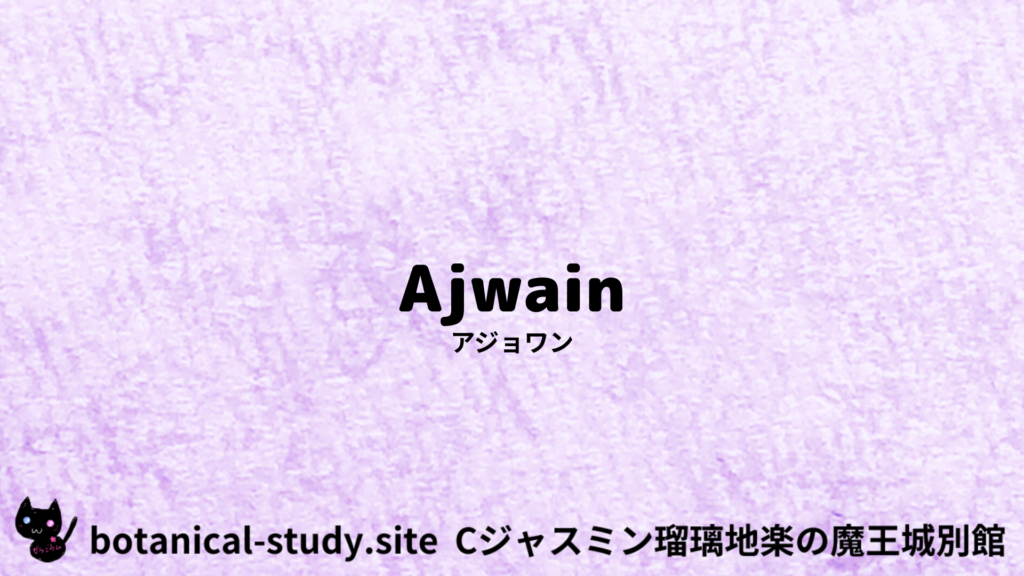英語版アジョワンのプチ辞典クイズのアイキャッチ