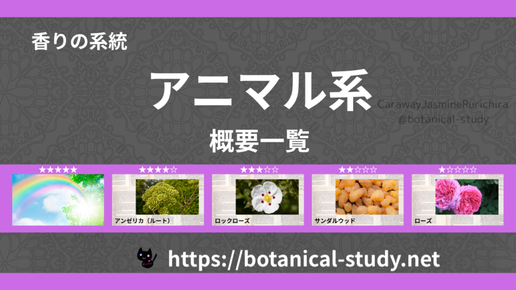 アニマル(動物系)|8種の香りの系統・香調一覧のアイキャッチ画像