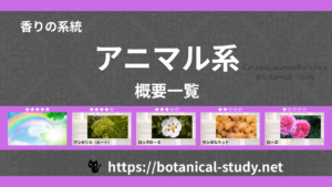 アニマル(動物系)｜8種の香りの系統・香調一覧のアイキャッチ画像