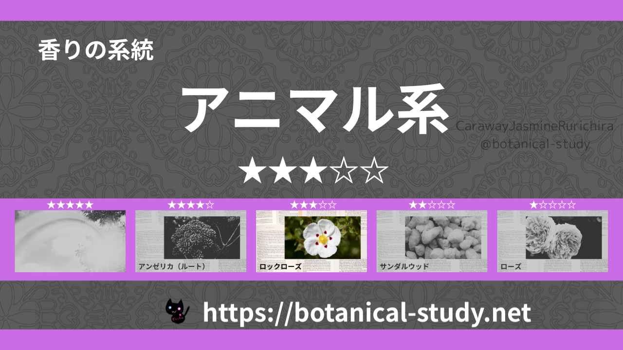 アニマル(動物系)内分類：香りの強さ３｜アロマ精油一覧のアイキャッチ画像