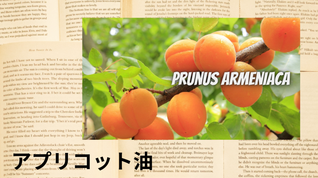 アプリコットの植物素材辞典のアイキャッチ