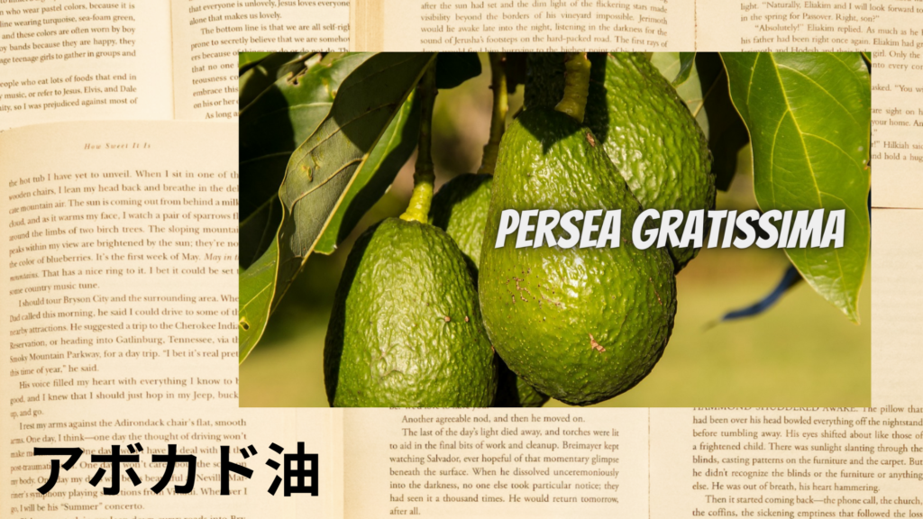 アボカド油の植物素材辞典のアイキャッチ