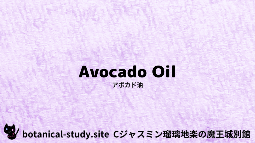 英語版アボカド油のプチ辞典クイズのアイキャッチ