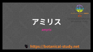 アミリスの香りの性質辞典のアイキャッチ