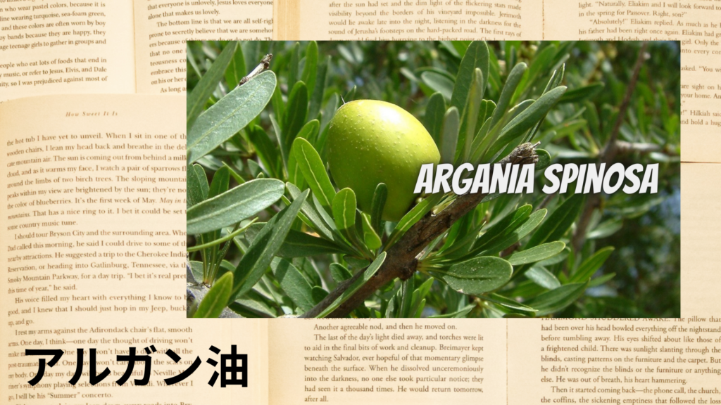 アルガンの植物素材辞典のアイキャッチ