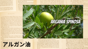 アルガンの植物素材辞典のアイキャッチ