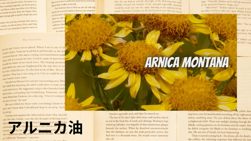 アルニカ油の植物素材辞典のアイキャッチ