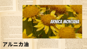アルニカ油の植物素材辞典のアイキャッチ