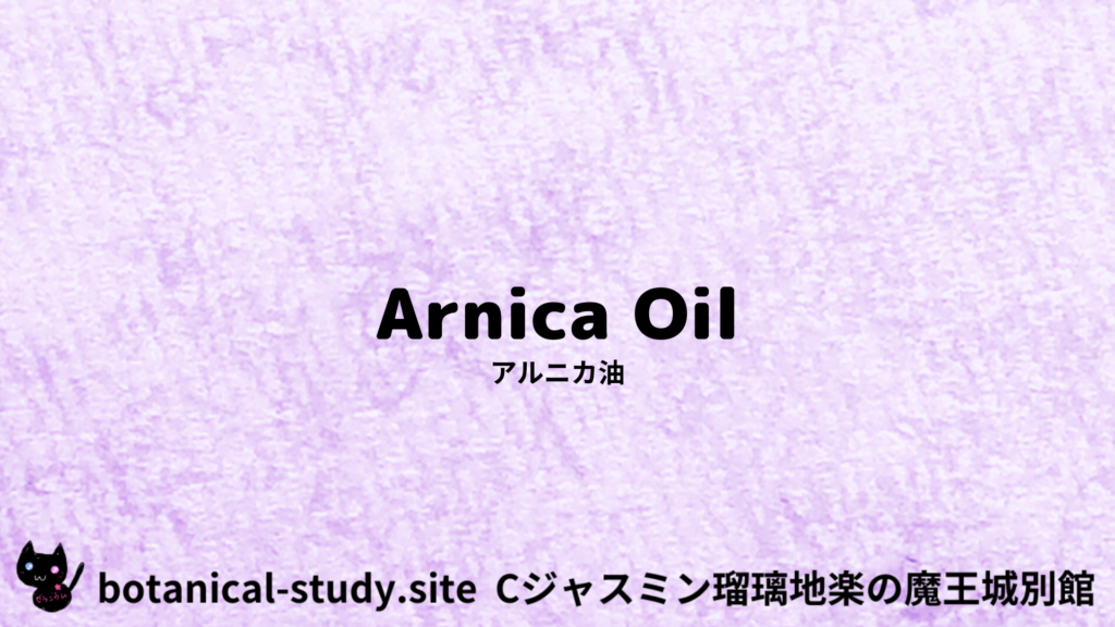 英語版アルニカ油のプチ辞典クイズのアイキャッチ